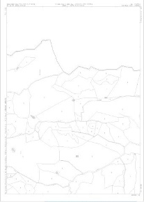 Foto Terreno agricolo in Via Manganello 12, Palizzi di 20000 m² in vendita