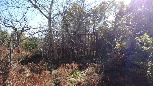 Foto Terreno agricolo in SP158, Biancavilla di 11 m² in vendita