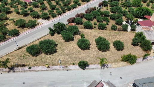 Foto Terreno edificabile in Via Manzoni, Calamonaci di 1636 m² in vendita