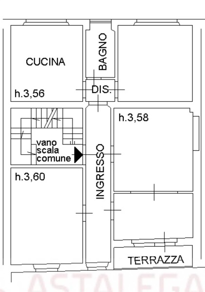 immagine annuncio 13 di 15