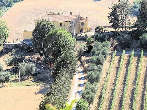 immagine annuncio 11 di 15