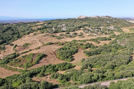 Foto Terreno agricolo a Luogosanto di 45000 m² in vendita