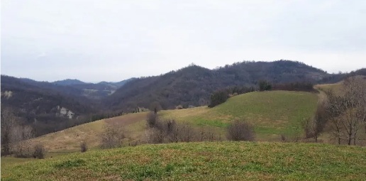 Foto Terreno agricolo a Brozolo di 23500 m² in vendita