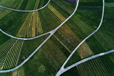 Foto Terreno agricolo a Balangero Centro di 781 m² in vendita