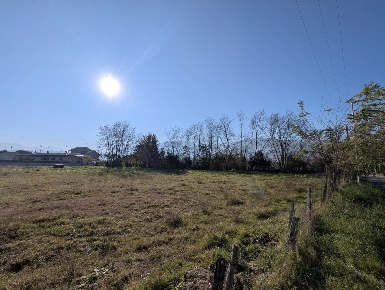 Foto Terreno residenziale in Via Torrita snc, Segni di 23000 m² in vendita