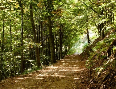 Foto Terreno agricolo a Cavedine di 1600 m² in vendita