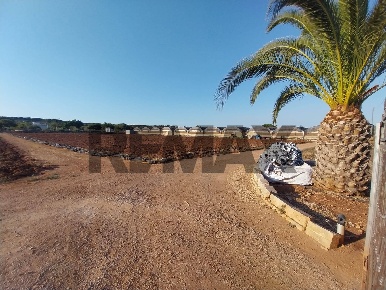 Foto Terreno agricolo in s.p 44 sn, Scicli di 15750 m² in vendita