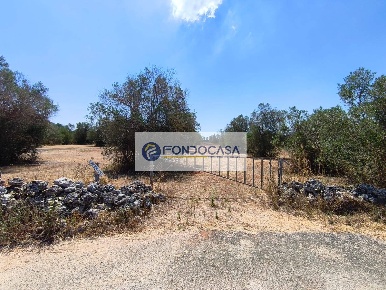 Foto Terreno agricolo a Sanarica di 16000 m² in vendita