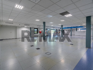 Foto Ufficio in Via Lanza di Scalea 1350, Palermo Cardillo di 400 m²