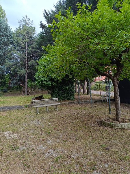 immagine annuncio 7 di 13
