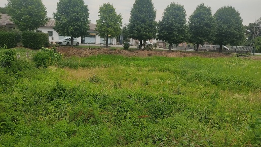 Foto Terreno residenziale in Via GAVELLO Via Matteotti 0, Gavello Centro