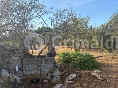 Foto Terreno agricolo in Contrada Coline, Alezio di 10370 m² in vendita