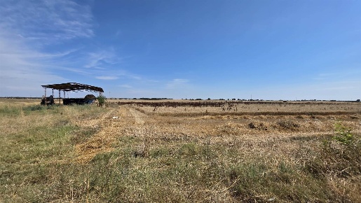 Foto Terreno agricolo a Montalto di Castro Centro in vendita