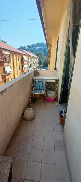 immagine annuncio 5 di 13
