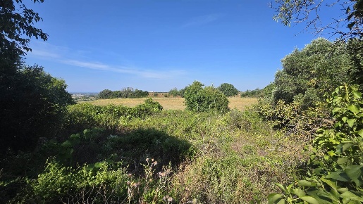 Foto Terreno agricolo a Tarquinia Centro Storico di 22000 m² in vendita