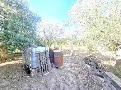 Foto Casa indipendente a Altamura di 25 m² con 1 locali in vendita