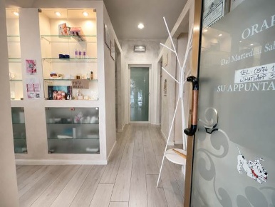 Foto Attività commerciale a Prato Cafaggio - Grignano di 50 m² con 3 locali