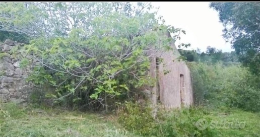 Foto Rustico a Rio di 65 m² con 2 locali in vendita