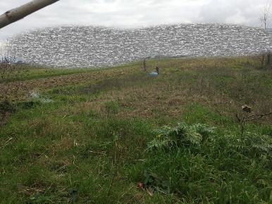 Foto Terreno agricolo a Vicopisano Centro di 2000 m² in vendita