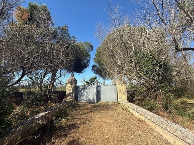 Foto Terreno agricolo a Alessano di 6763 m² in vendita