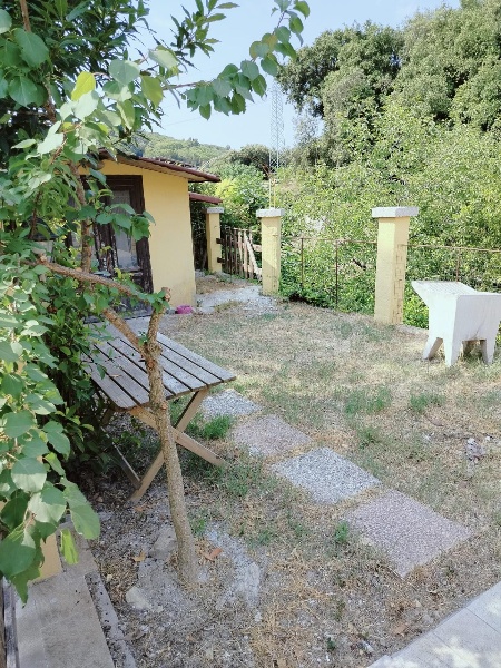 immagine annuncio 1 di 14