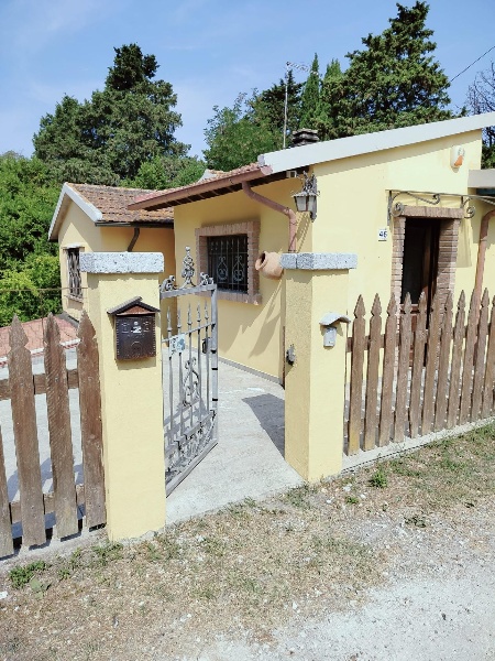 immagine annuncio 3 di 14