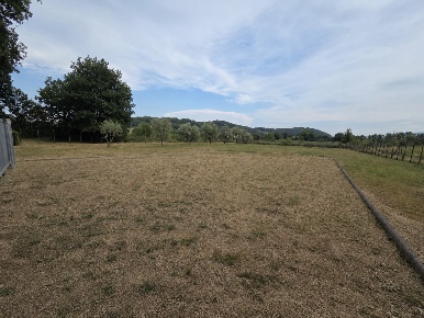 Foto Terreno agricolo a Porcari Centro di 3000 m² in vendita