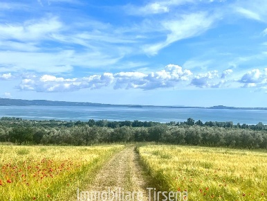 Foto Terreno edificabile a Bolsena in vendita