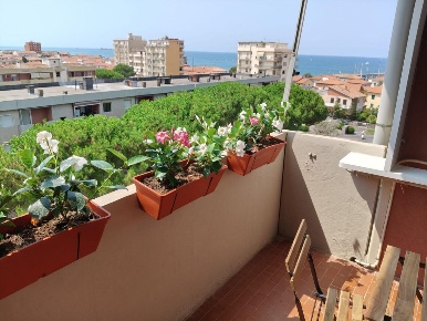 Foto Appartamento a Rosignano Marittimo Rosignano Solvay di 80 m²