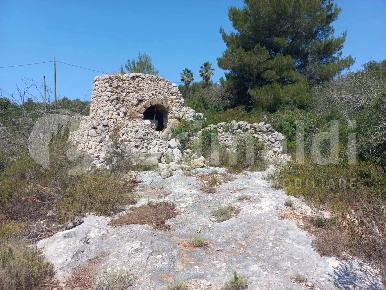 Foto Terreno agricolo in Via SP 193 220, Ugento di 7300 m² in vendita