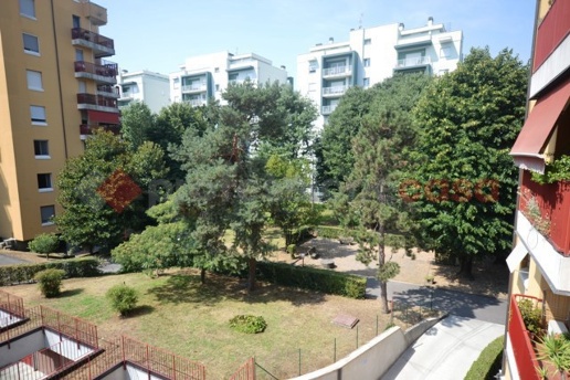 immagine annuncio 10 di 12