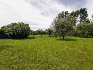 Foto Terreno agricolo in Via Benaco, San Felice del Benaco di 1235 m²