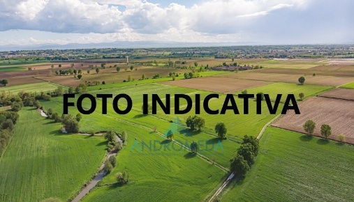 Foto Terreno agricolo a Pignataro Maggiore di 30200 m² in vendita