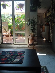 Foto Appartamento a Pisa San Martino di 40 m² con 2 locali in vendita