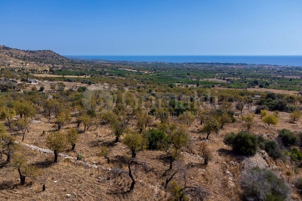 Foto Terreno edificabile in CONTRADA PETRARA 0, Avola di 18000 m²