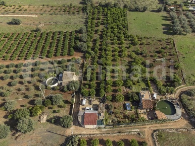 Foto Terreno edificabile in Via dulcamara 45, Noto Lido Di Noto di 4585 m²
