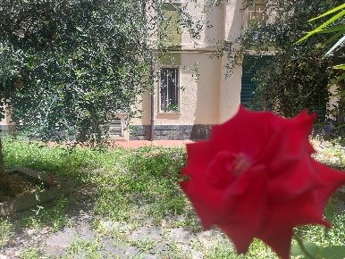 Foto Appartamento a Pietra Ligure Centro di 50 m² con 2 locali in vendita