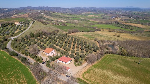 Foto Rustico in Colle di Lupo, Magliano in Toscana di 470 m² con 10 locali