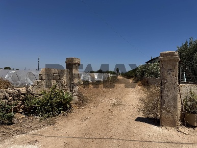 Foto Terreno agricolo in C.DA CONCA D'ORO SNC, Pachino di 50332 m²