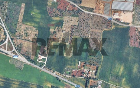 Foto Terreno agricolo in contrada san lorenzo 1, Casamassima in vendita