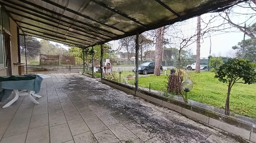 immagine annuncio 4 di 14