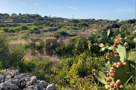 Foto Terreno residenziale in VIA del Talu snc, Pantelleria Campobello