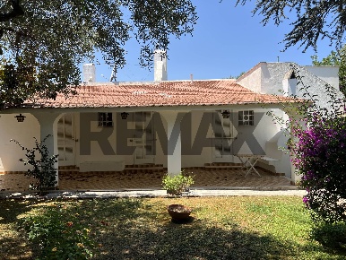 Foto Case semi ndipendenti in Rosa Marina Via Kristina bh126, Ostuni