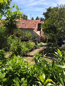 Foto Casa indipendente in via di Serragrande 1453, Rosignano Marittimo