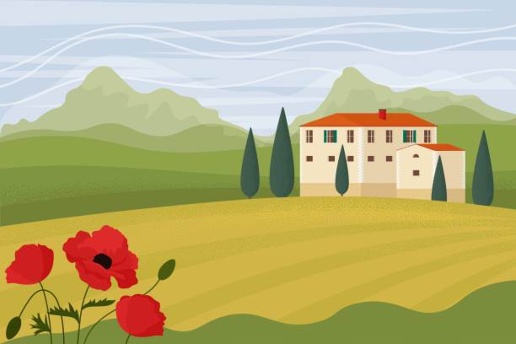 immagine annuncio 1 di 6