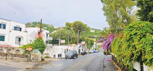 Foto Appartamento in delle Ginestre, Ischia Centro di 100 m² con 3 locali
