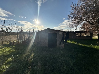 Foto Terreno agricolo in Via Del Cerro SNC, Nepi di 5720 m² in vendita