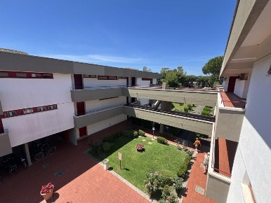 Foto Appartamento a Bibbona Marina Di Bibbona di 65 m² con 3 locali