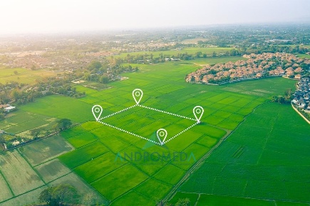 Foto Terreno commerciale a Sessa Aurunca Sant'agata di 12000 m² in vendita