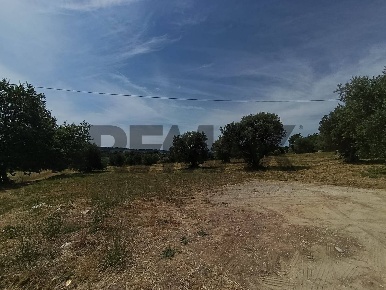 Foto Terreno residenziale in VIA VASCHIOLA snc, Torrevecchia Teatina